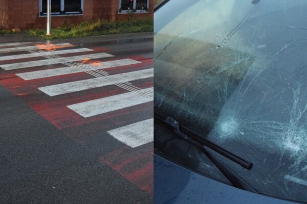 nehoda prechod chodec auto