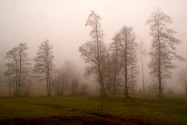 pocasie slovensko hmla