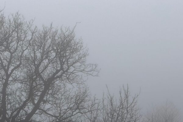 pocasie slovensko zima hmla