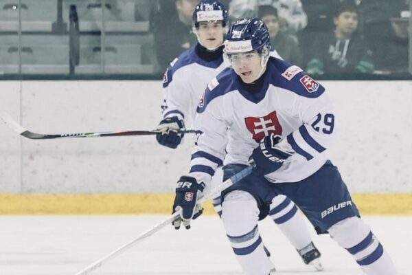 slovensko ms hokej 20