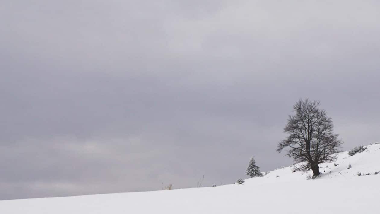 sneh zima slovensko orkan