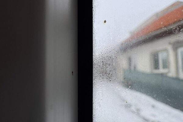 vlhke zarosene okna 1