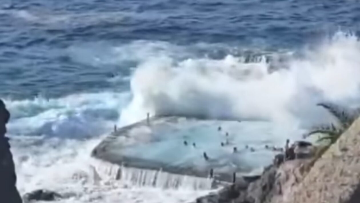 vlna tenerife slovaci