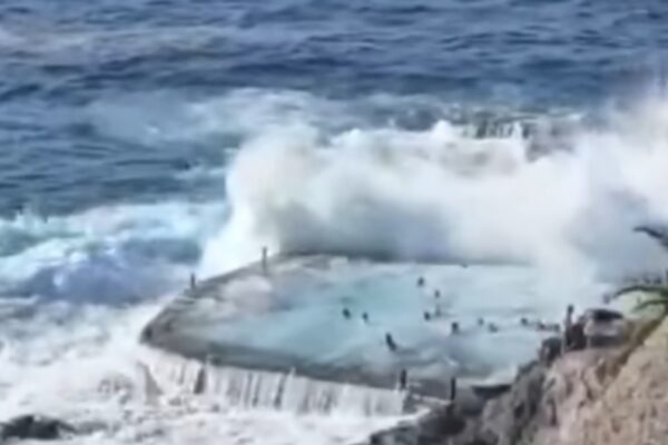 vlna tenerife slovaci