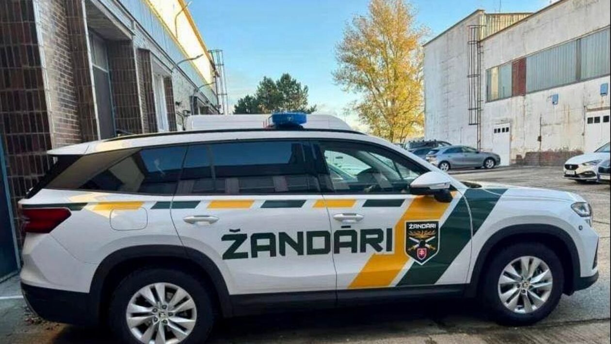 zandari auto policajti
