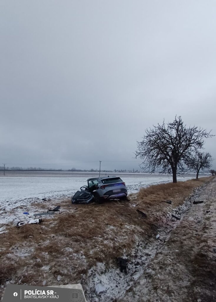 615512560 1193947522932679 4571906147384637305 n