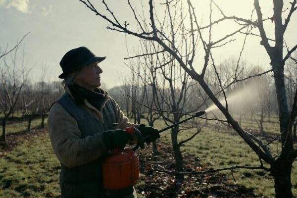 ovocne stromy postrek zima