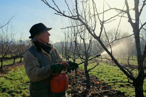 postrek stromy ovocne 1