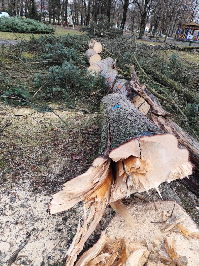 631938132 1498626531849612 3553708840033812491 n