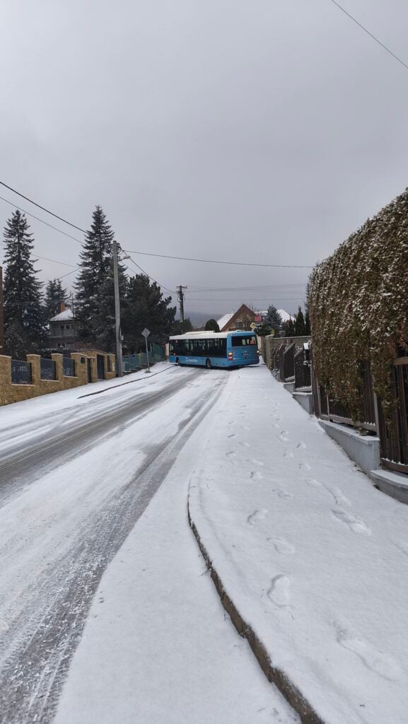 633936423 26813528098237196 3021518633987954642 n