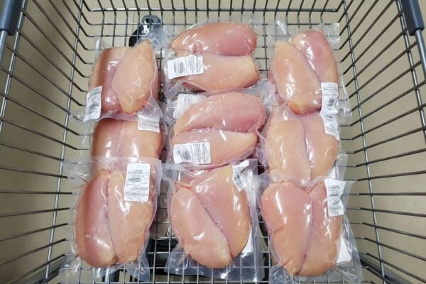 kuracie maso choroba