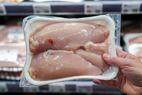 kuracie maso salmonela