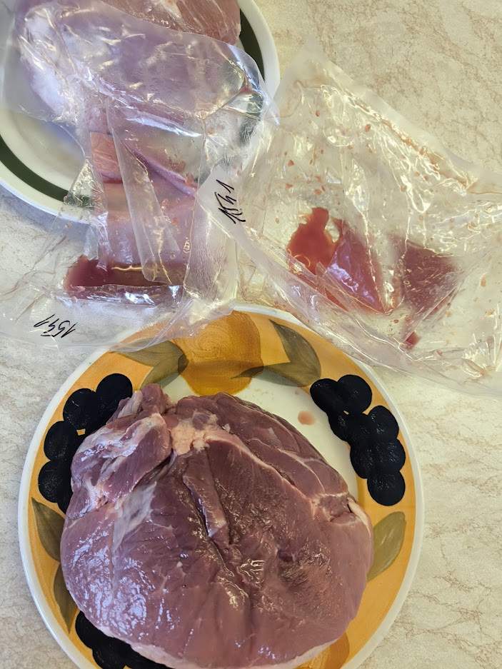 649526660 1265296945790169 5829890276515642993 n