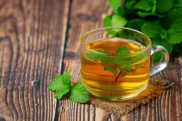 medovka lekarska caj