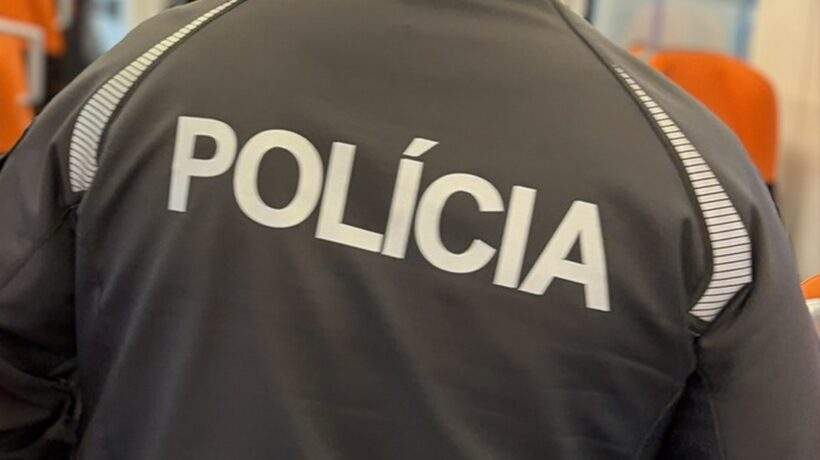 policia 6
