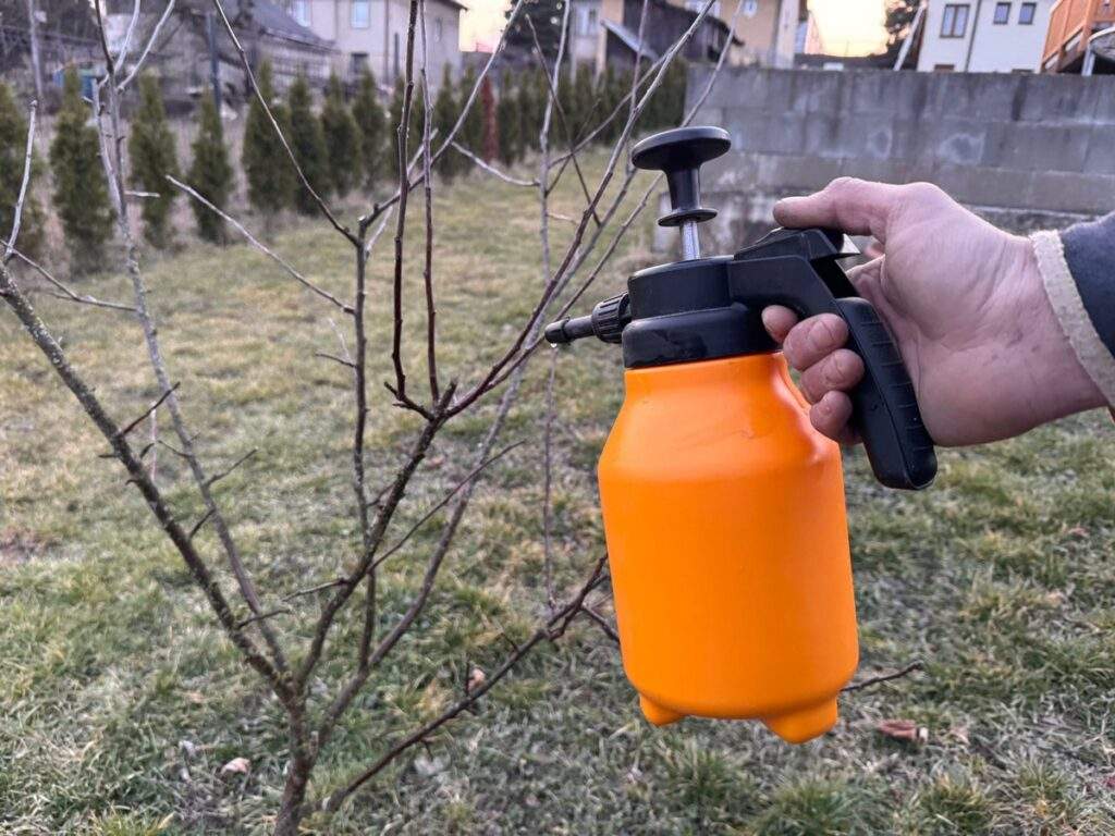 postrek strom jablon skodcovia 1