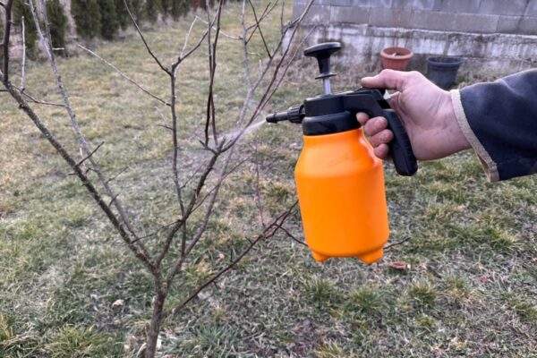 postrek strom jablon skodcovia