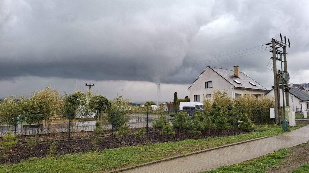 677852766 122129538309009061 8666682833762938303 n