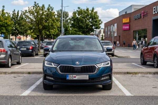 ako zistit spz ecv 1
