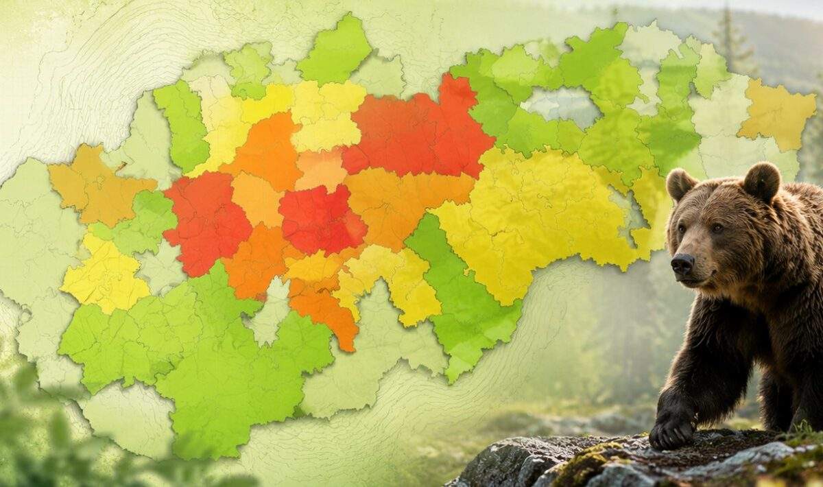 mapa medvedov slovensko