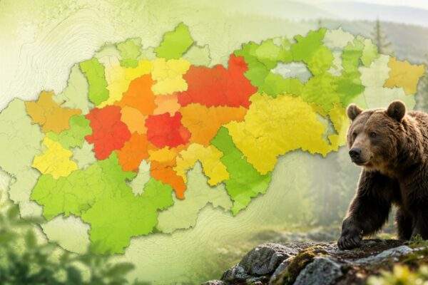 mapa medvedov slovensko