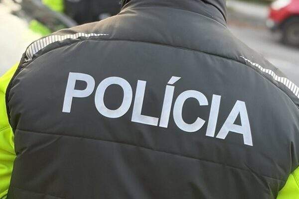 policia 7