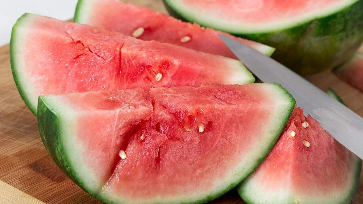 melon 1