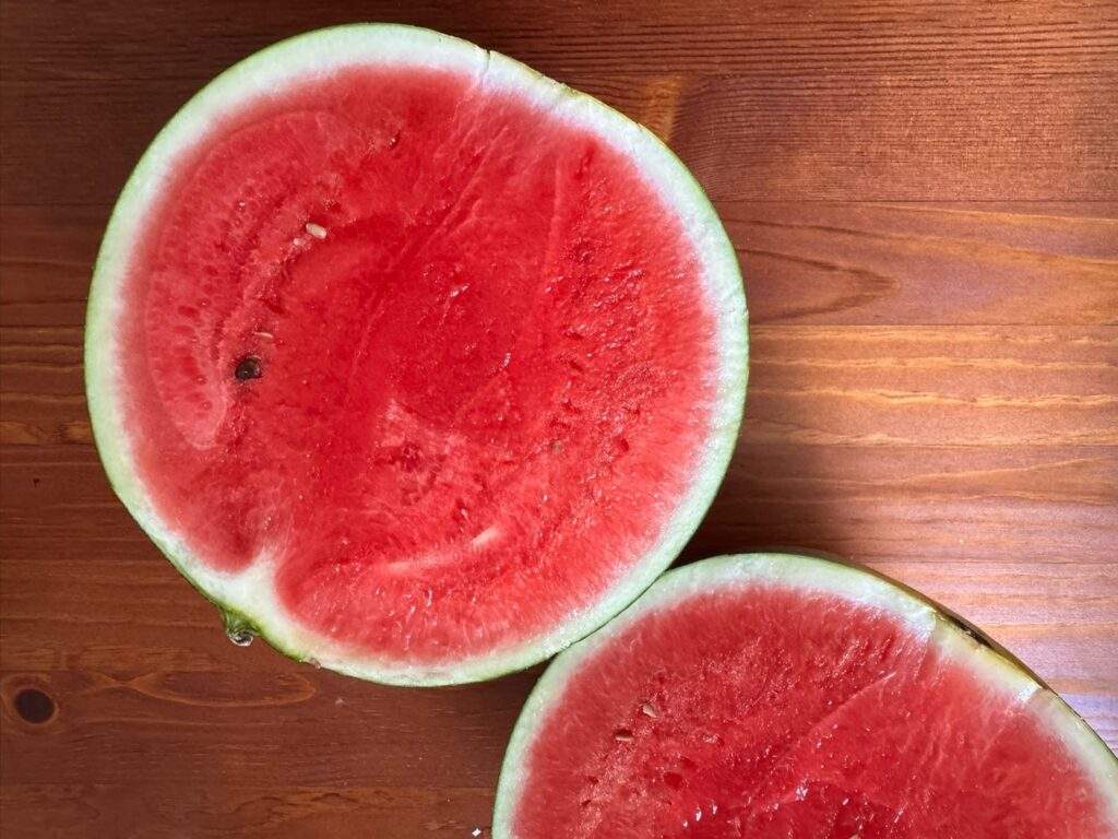 melon dina 1