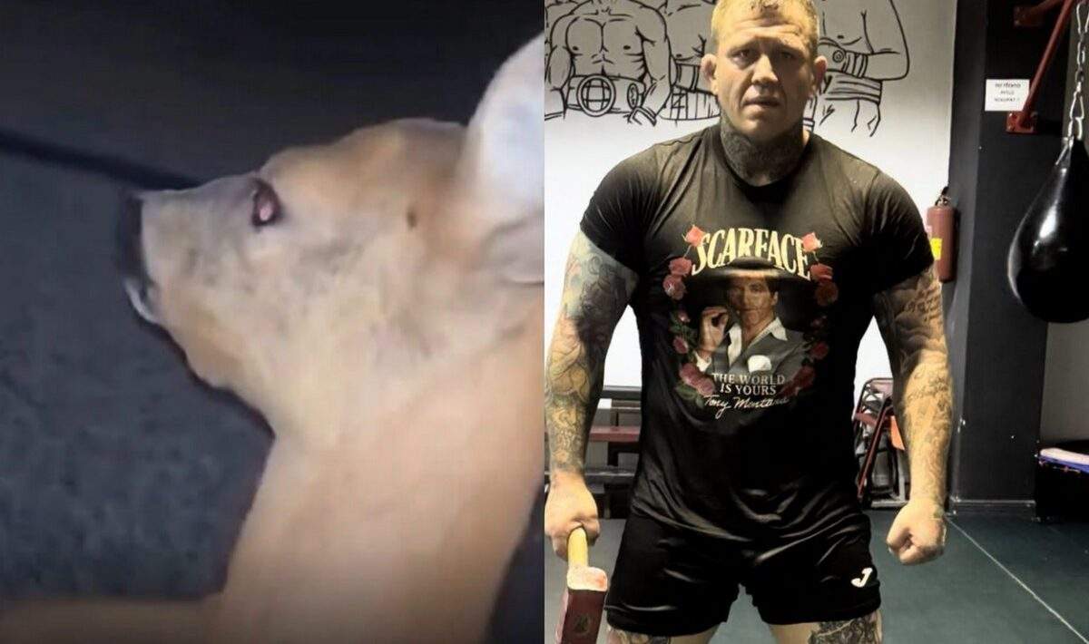tyranie srnky mma