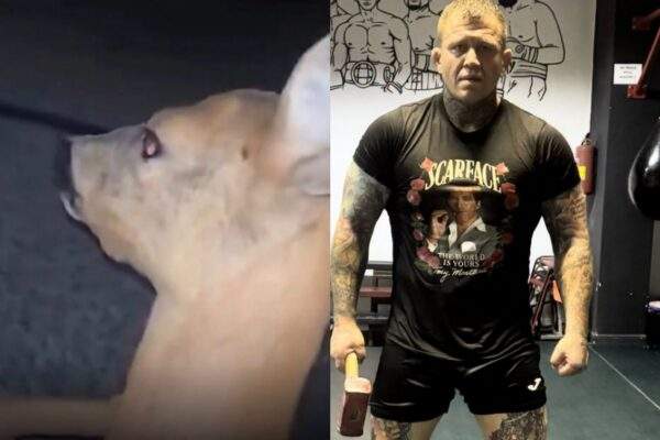 tyranie srnky mma