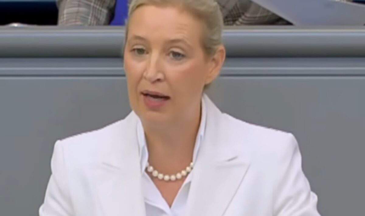 alice weidel afd