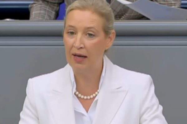 alice weidel afd