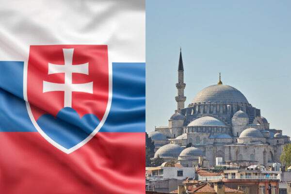 mesity slovenskoi