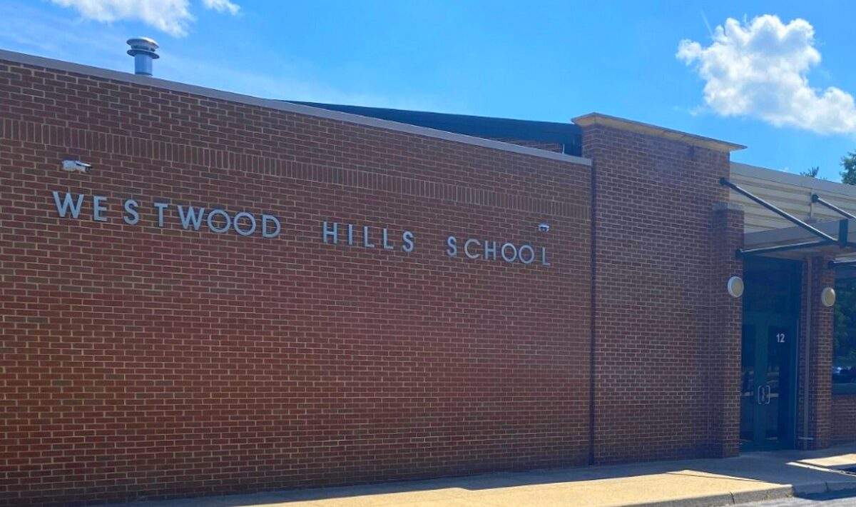 skola usa