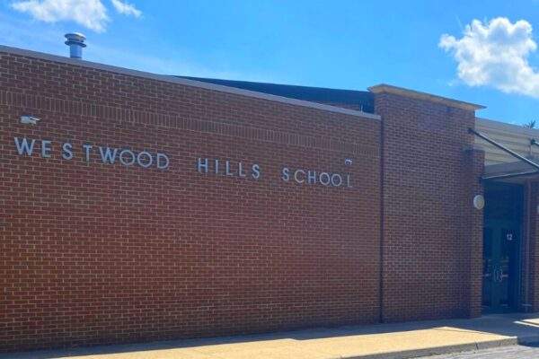 skola usa